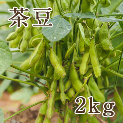 新潟県産 茶豆 2kg