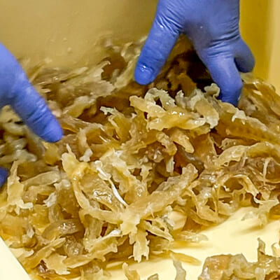 素材本来の味を引き出します