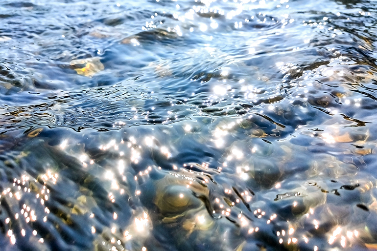 米作りに欠かせない「水」へのこだわり