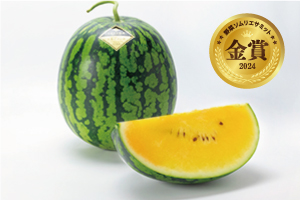 3. 黄大玉「金色羅王」