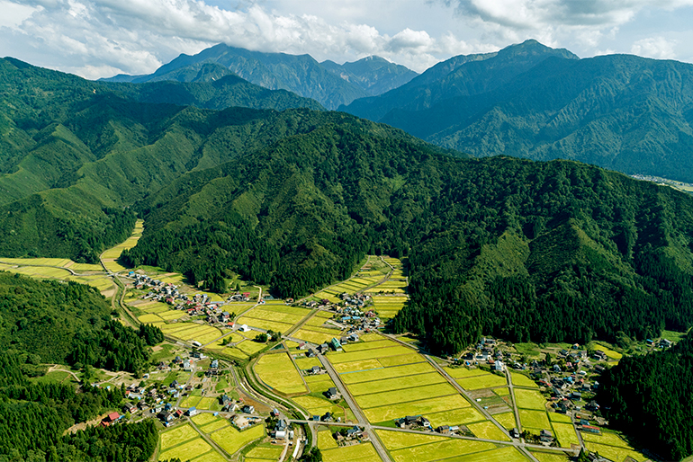 力強い甘みの秘密は、盆地特有の寒暖差