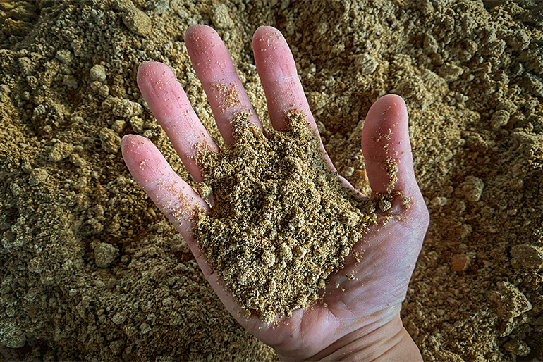 自家製ぼかし肥料をたっぷり施肥