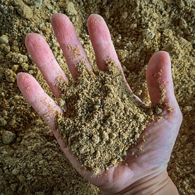 自家製ぼかし肥料をたっぷり施肥