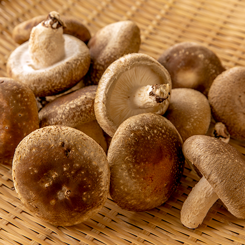 しいたけ 🍄✨ 深山農園の冷凍しいたけラインナップ ✨🍄 飲食店さまの声にお