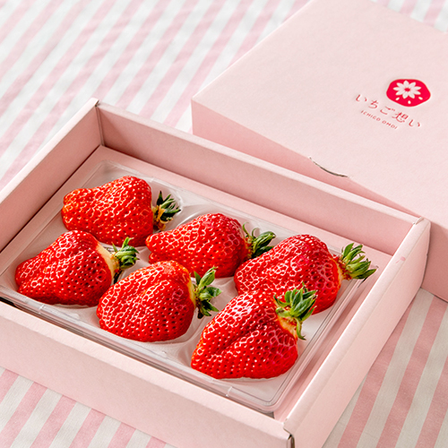 新潟直送計画】越後姫 – いちご想い