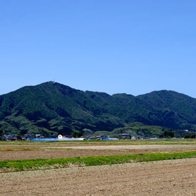 稲作に適した土壌が広がる、弥彦山の麓で育ったお米