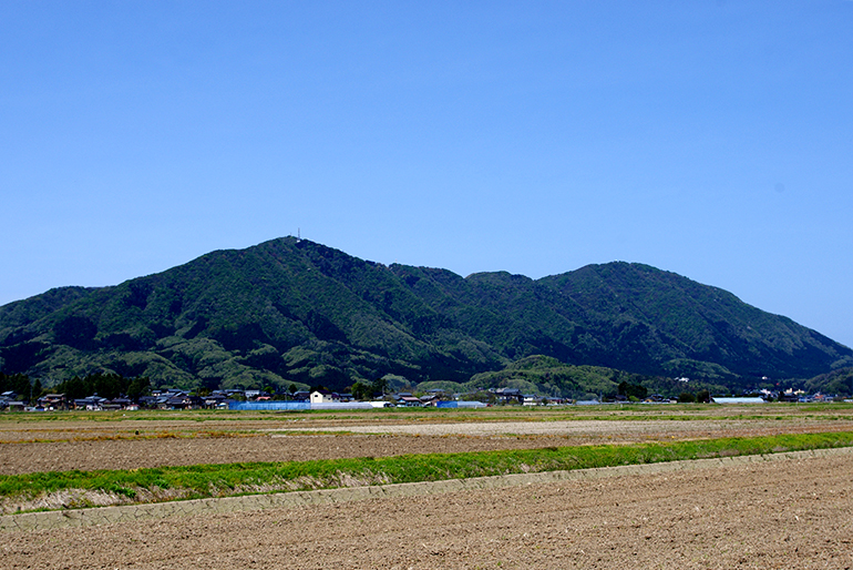 稲作に適した土壌が広がる、弥彦山の麓で育ったお米