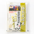 令和5年度米 新潟県産コシヒカリ（特別栽培米）
