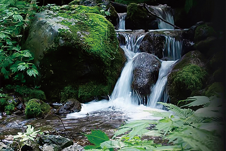 ミネラル豊富な「菅名岳の天然水」を使用