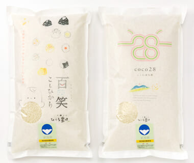 令和5年度米 コシヒカリとブレンド米の詰め合わせ（特別栽培米）