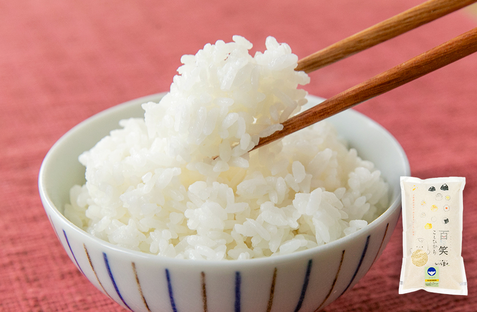 百歳人なめ茸付き！新潟こしひかり５キロ！貴方も百歳プロジェクトに参加できますよ 楽天市場】米 令和6年 3分づき 新潟県産 つきあかり 米 5kg 胚芽