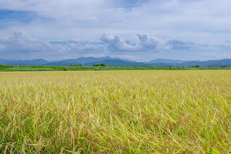 ミネラル豊富な雪解け水を「掛け流し」