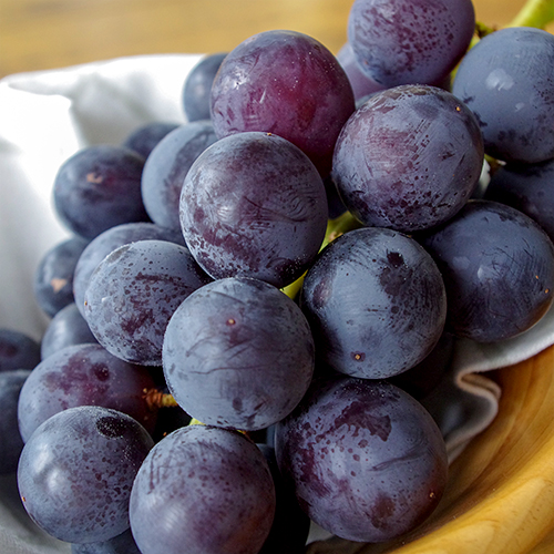 巨峰　出品　13個 1055-001.jpg