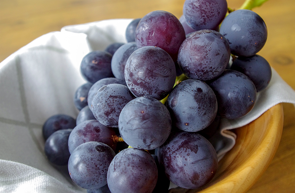 新潟直送計画】新潟県産 巨峰（種あり・種なし） – こもれ陽くだもの園