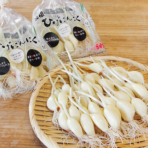 新潟直送計画】ひげにんにく – 信越工業