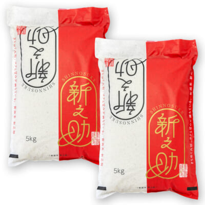 新潟県産 新之助 精米10kg