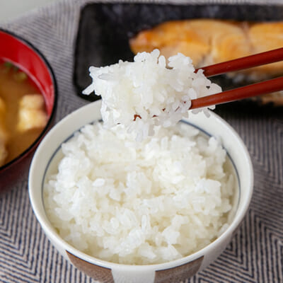 ご飯だけで満たされるおいしさ