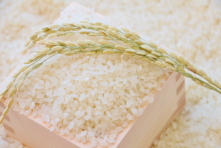 精米したてのおいしさを味わってください!