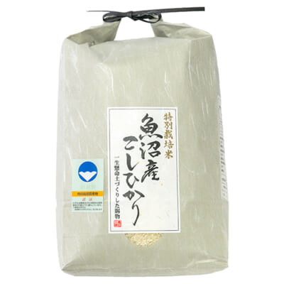 予約注文：令和6年度米 魚沼産コシヒカリ（特別栽培米）