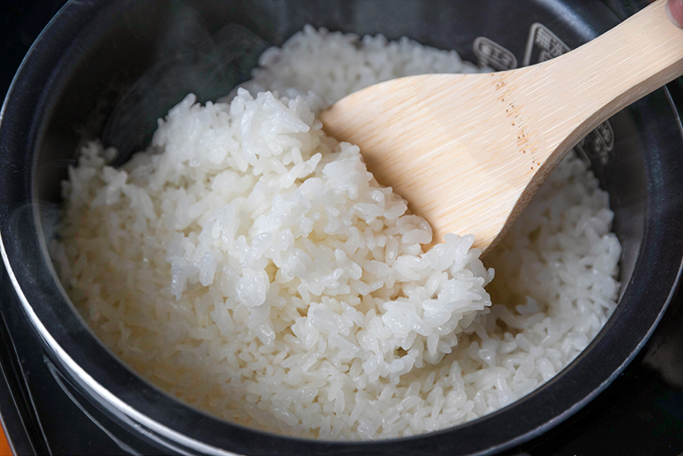 新潟大学農学部の農場で栽培されたコシヒカリ