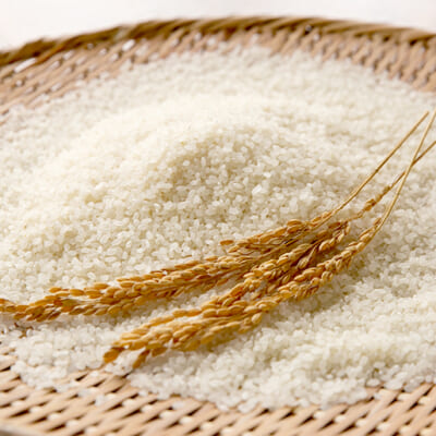 「量」より「質」を重視して育てたコシヒカリ