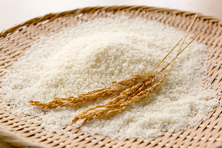 「量」より「質」を重視して育てたコシヒカリ