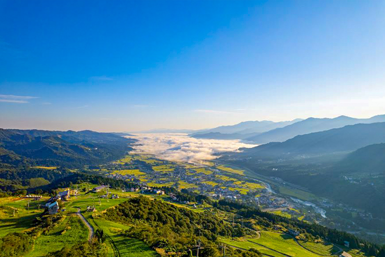 塩沢産コシヒカリ