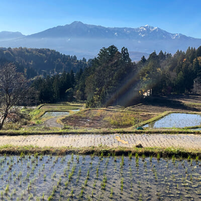 これぞ日本の原風景。山間地の棚田で米作り