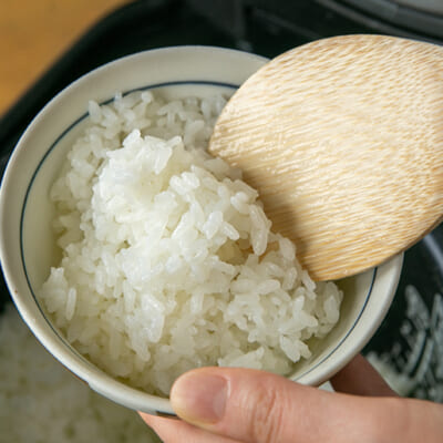 加茂市の肥沃な土壌で栽培された、従来品種コシヒカリ