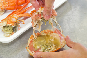 3.&ensp;甲羅を綺麗にする