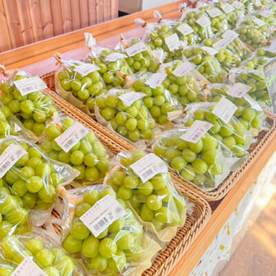 直売所でも大人気！