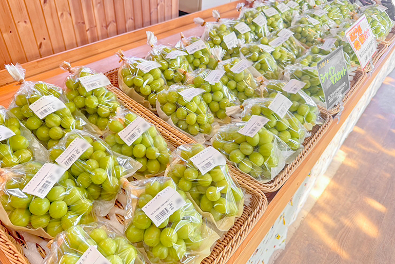 皮ごと手軽に食べられる大粒ぶどう