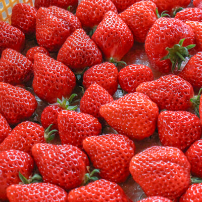 農家さんから仕入れる旬の果物を使用