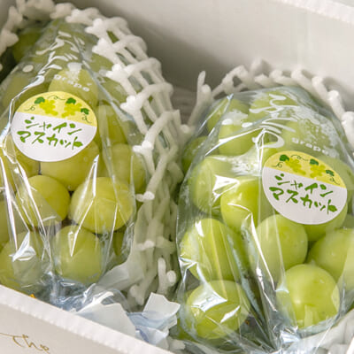 化粧箱入りの「贈答用」もご用意しています