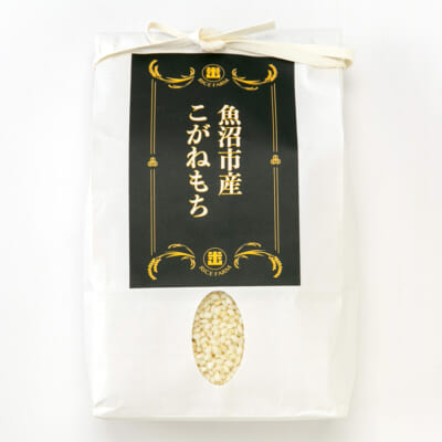 魚沼産こがねもち 精米1kg