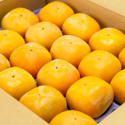 新潟県産 八珍柿 9kg