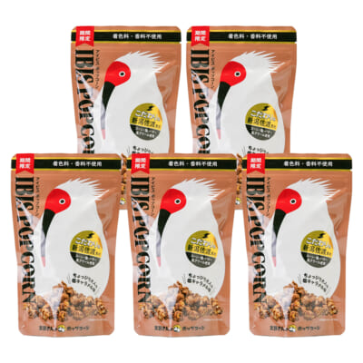 ポップコーン（塩キャラメル味）5袋