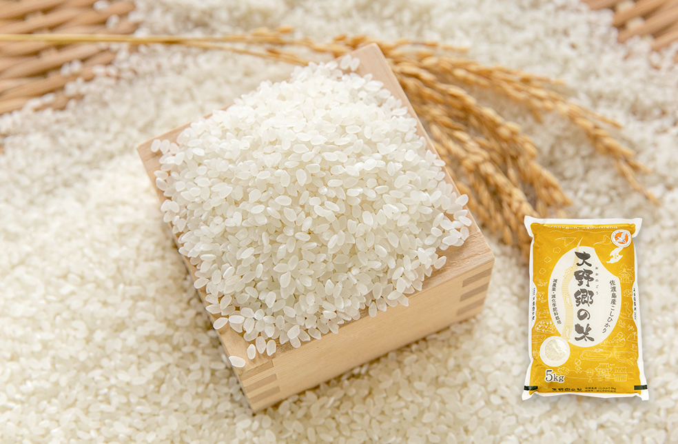 〚新潟県佐渡産コシヒカリ　(産地直送・冷蔵保存)〛 新潟県佐渡産コシヒカリ (産地直送・冷蔵保存)〛