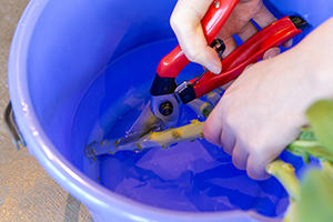 1. 水切りをする