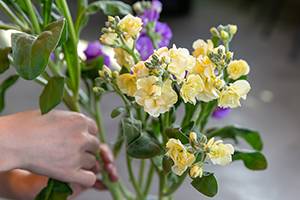 2. 葉を取り除く