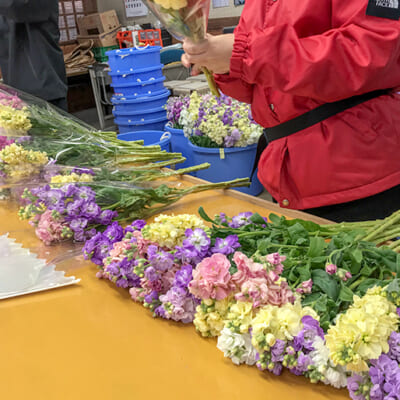 1本あたり10輪以上が咲いた状態でお届けします