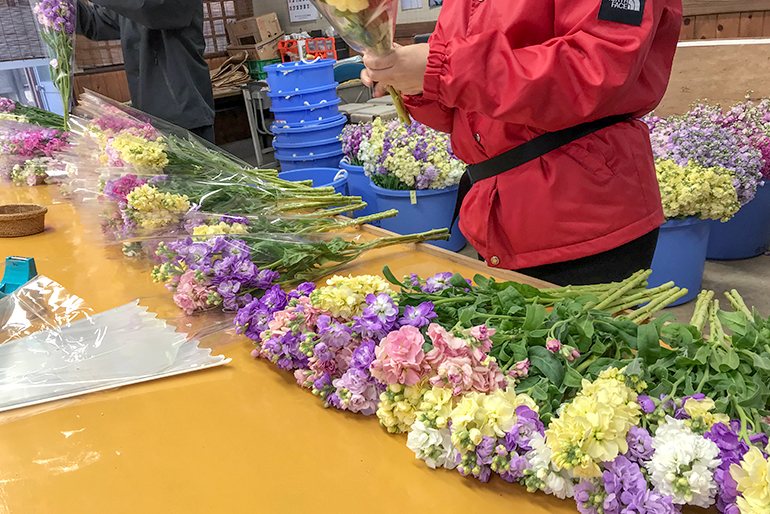 1本あたり10輪以上が咲いた状態でお届けします