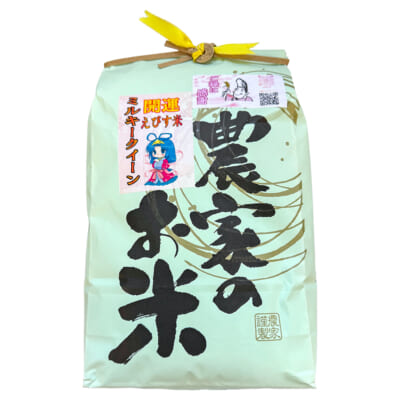 新潟県産ミルキークイーン 精米10kg