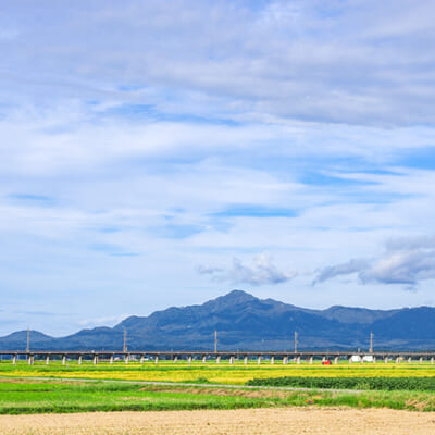 米山の恵みを受けた環境