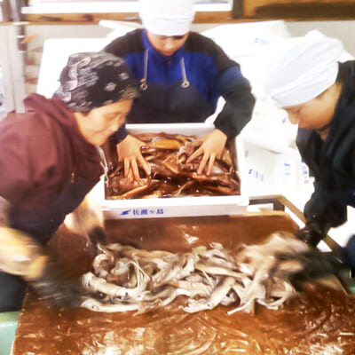 熟練の技が光ります