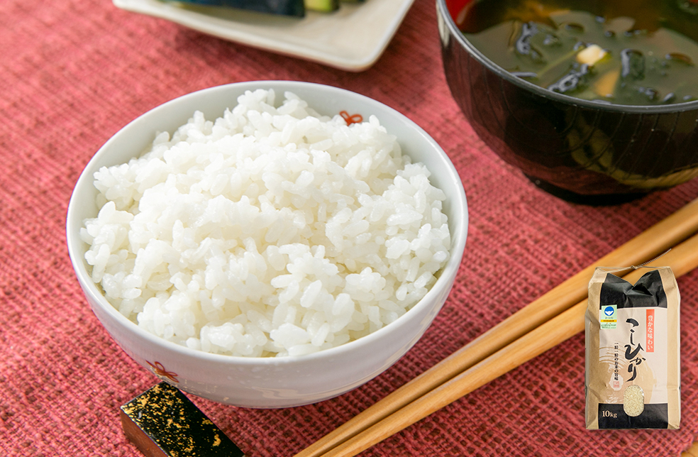 新潟直送計画】令和7年度米 新潟県産コシヒカリ（特別栽培米・従来品種