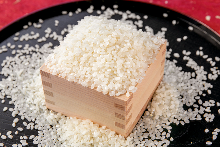 米本来の甘みが自慢!特別栽培の従来品種コシヒカリ
