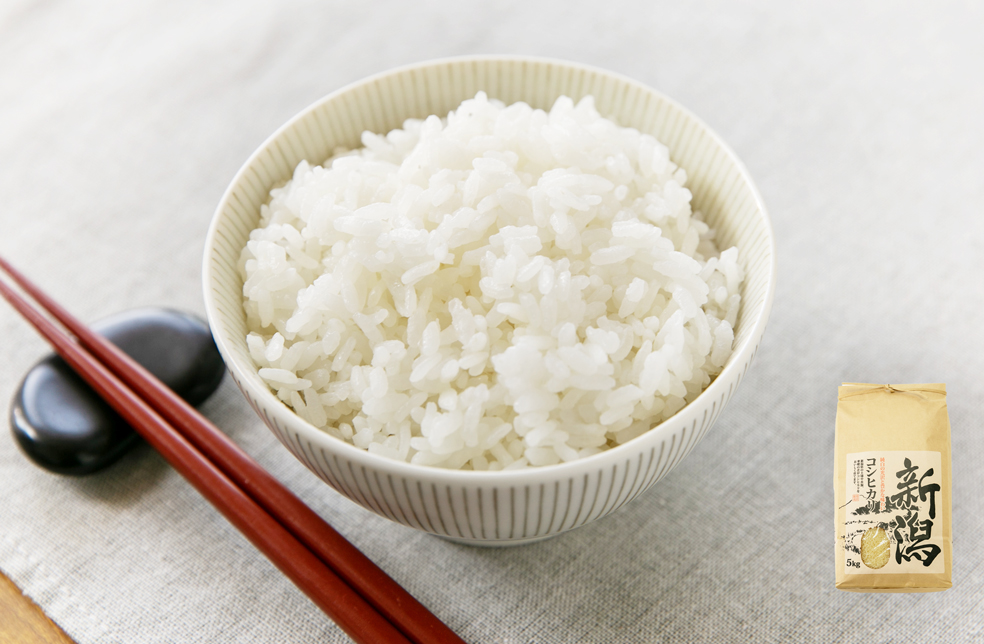 まきママ　長畝ふるさと米 コシヒカリ 玄米20kg 定期便】玄米 コシヒカリ 20kg(5kg×4) 福井県産｜安くて美味しい！米の
