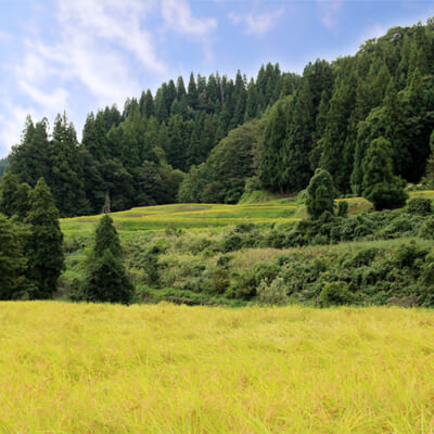 ミネラル豊富な雪解け水に恵まれた川治地区