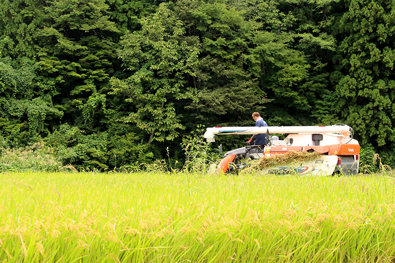 中山間地ならではの寒暖差が、お米の甘みを引き出します